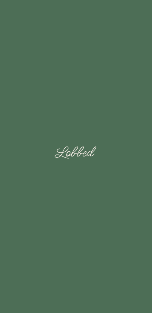 Lobbed App Intro